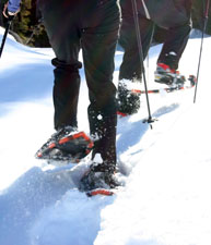 snowshoe photo