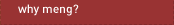 Why MEng?