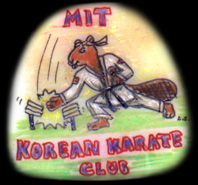 MIT Beaver Breaking Boards