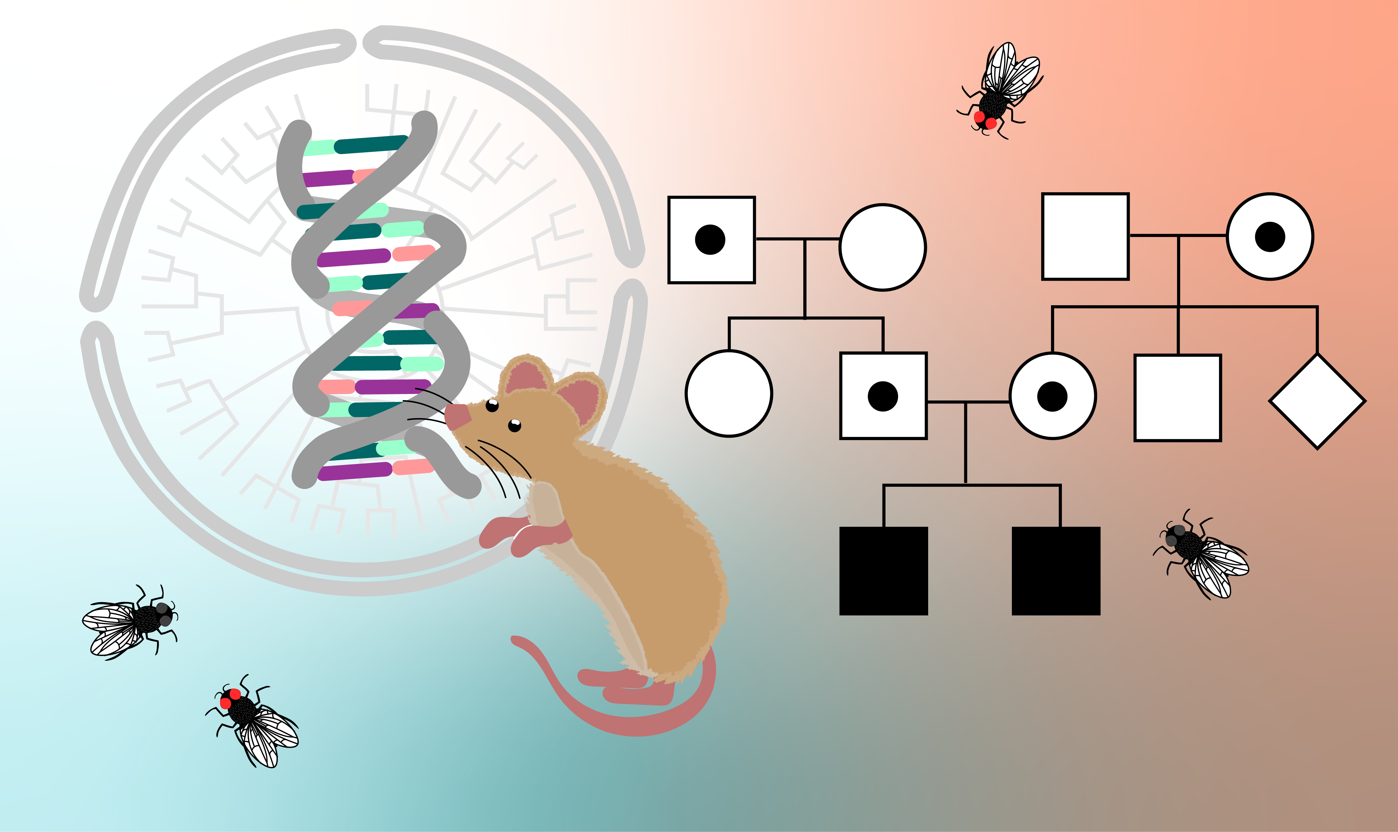 7.03x course image including a pedigree and mouse