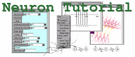 Neuron Tutorial