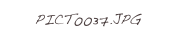 PICT0037.JPG