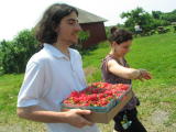 Click on one of the size names above to enlarge this image Click on one of the size names above to enlarge this image