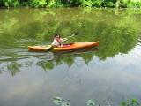 Click on one of the size names above to enlarge this image Click on one of the size names above to enlarge this image
