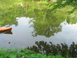 Click on one of the size names above to enlarge this image Click on one of the size names above to enlarge this image
