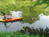 Click on one of the size names above to enlarge this image Click on one of the size names above to enlarge this image