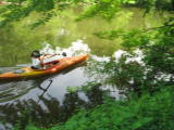 Click on one of the size names above to enlarge this image Click on one of the size names above to enlarge this image