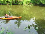 Click on one of the size names above to enlarge this image Click on one of the size names above to enlarge this image