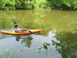Click on one of the size names above to enlarge this image Click on one of the size names above to enlarge this image