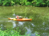 Click on one of the size names above to enlarge this image Click on one of the size names above to enlarge this image