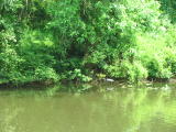Click on one of the size names above to enlarge this image Click on one of the size names above to enlarge this image