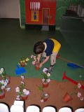 Click on one of the size names above to enlarge this image Click on one of the size names above to enlarge this image