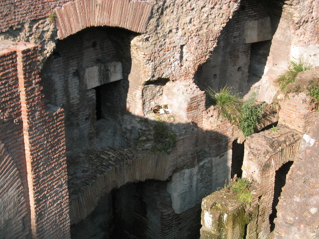 Inside the Colosseum