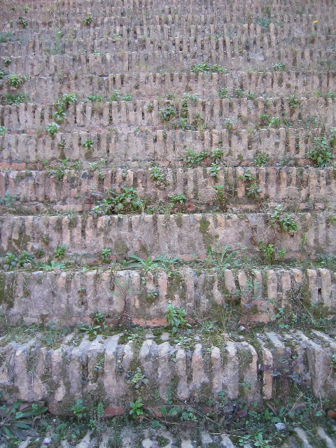 Textures of the Colosseum