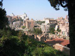 Looking North across the Forum