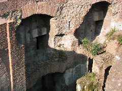 Inside the Colosseum