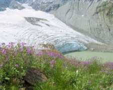 Lyman Glacier