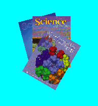 Published papers