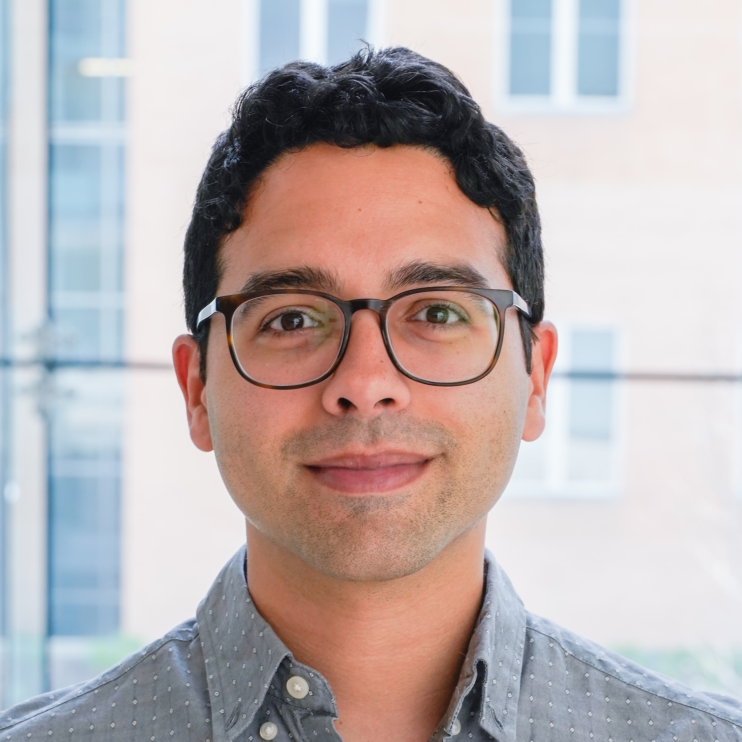 Raúl Mojica Soto-Albors