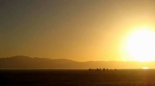 skyline in Xinjiang, China