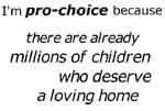 because there are already millions of children who deserve a loving home