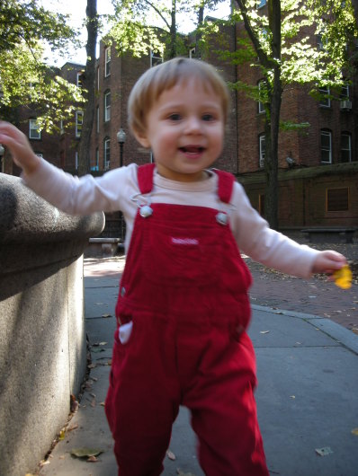 DSCN1550.JPG, 398x530, 72 Kb