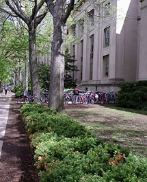 Bike rack outside MIT building