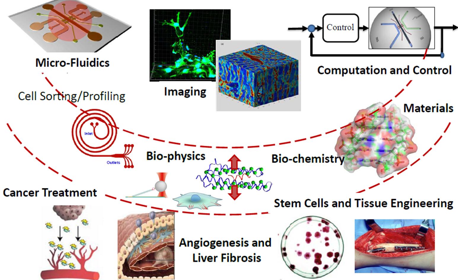 SMART: BioSystems and Micromechanics (BioSyM)