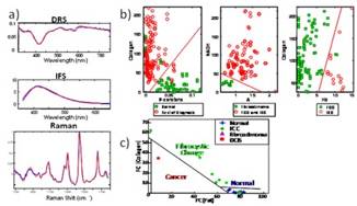 http://web.mit.edu/spectroscopy/research/rsch_figs/Breast_fig1.jpg