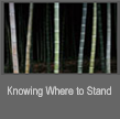 Knowing Where to Stand
