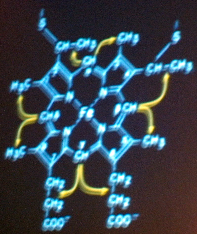 IM005438.JPG