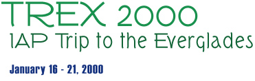 TREX 2000 IAP Trip to the Everglades - January 16-21, 2000