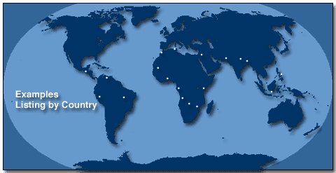 World Map