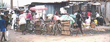 Photo - Cameroon
