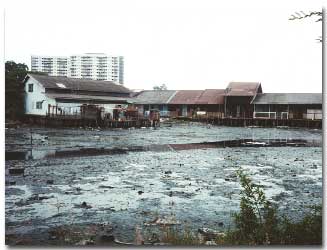 Penang, Malaysia. Photo: R. Goethert.