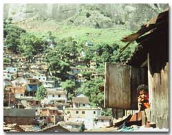 Photo, Brazil Hill Squatter