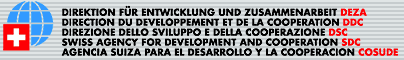 SDC Logo