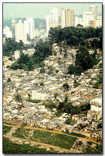Brazil Squatter Slums