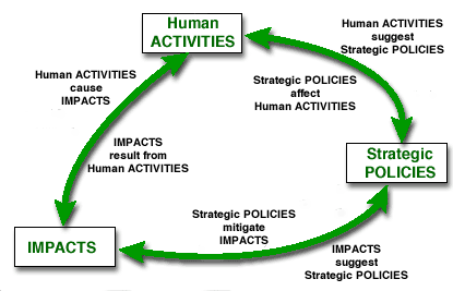 Action Cycle
