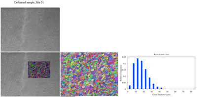 765 micrographs