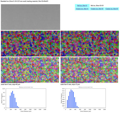 ice ref starting material micrographs