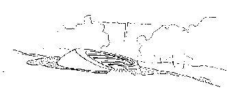 a-sk.GIF (1219 bytes)