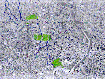 grid-verde.GIF (56220 bytes)