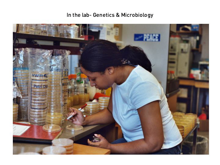 slide05.jpg