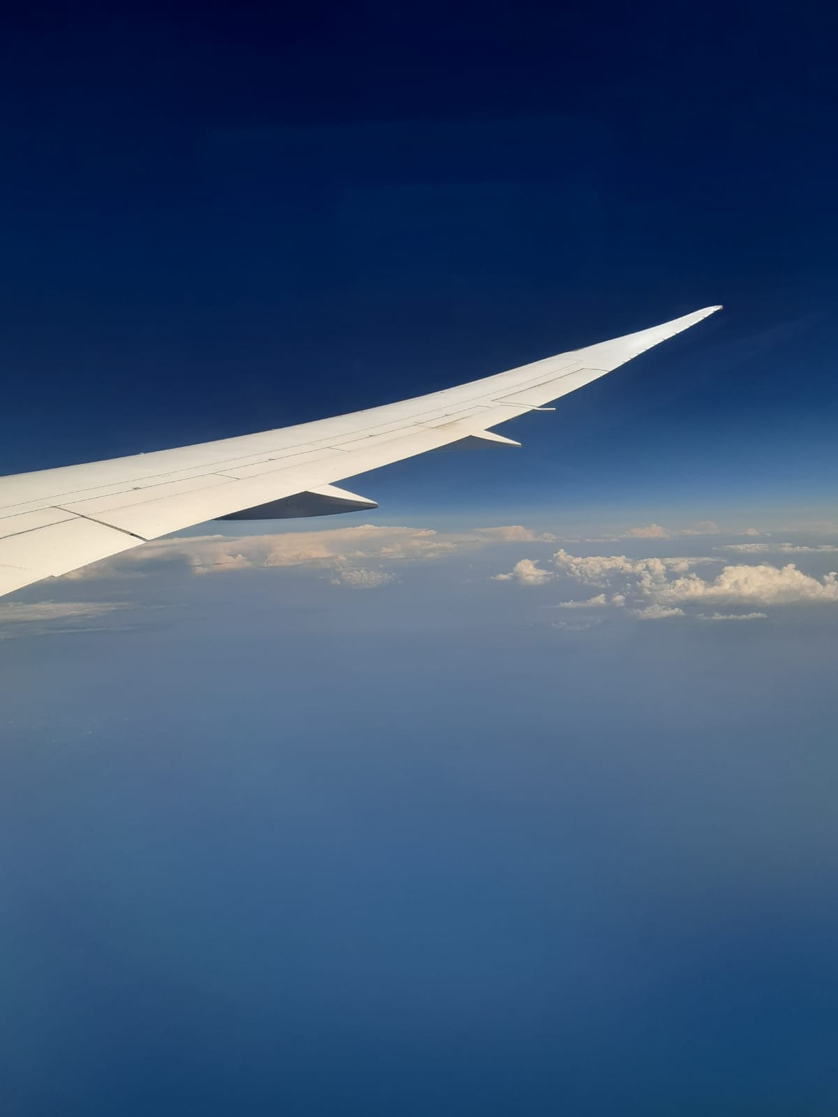 Boeing 787 Dreamliner's wings