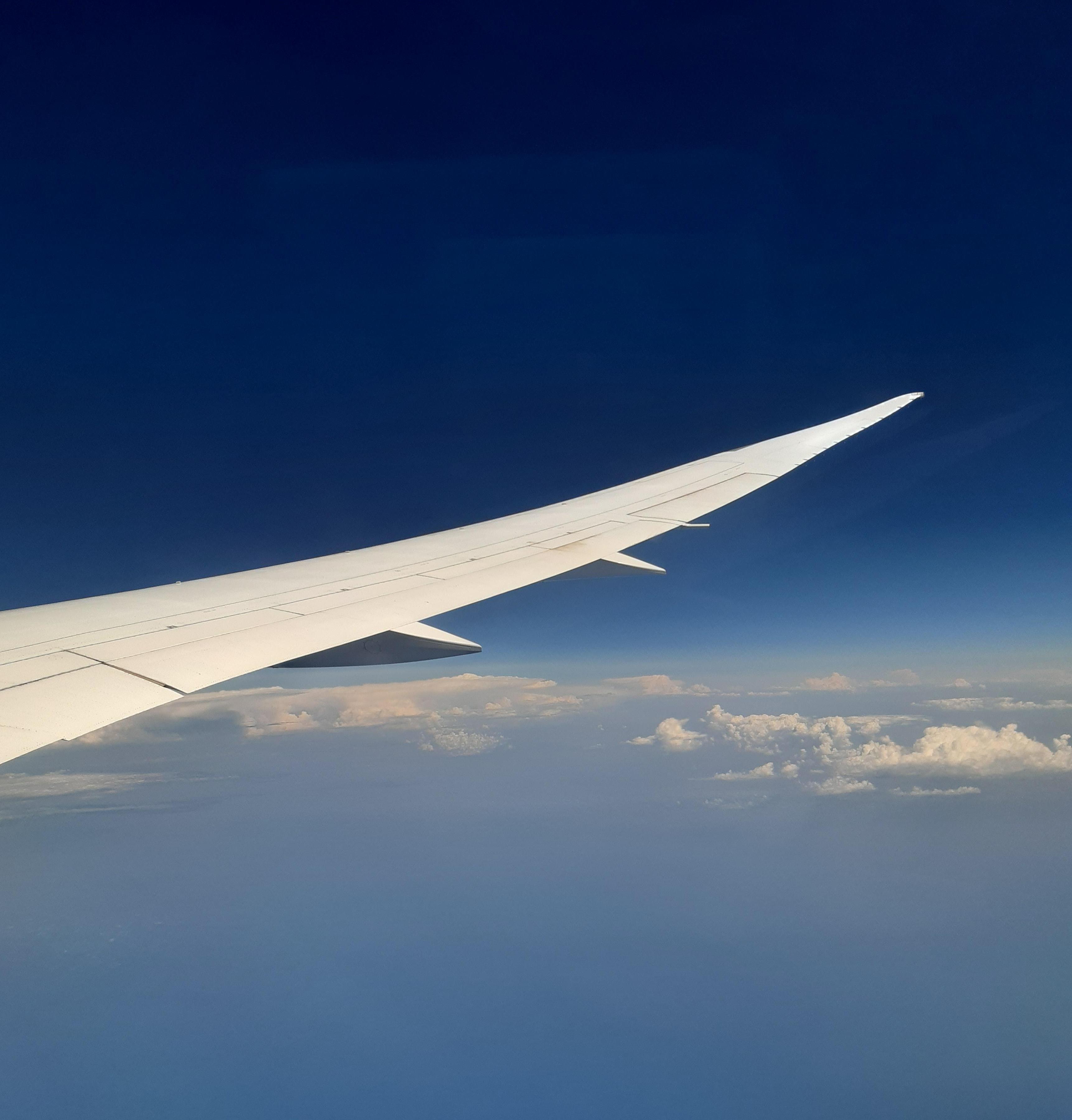 Dreamliner's Wings!