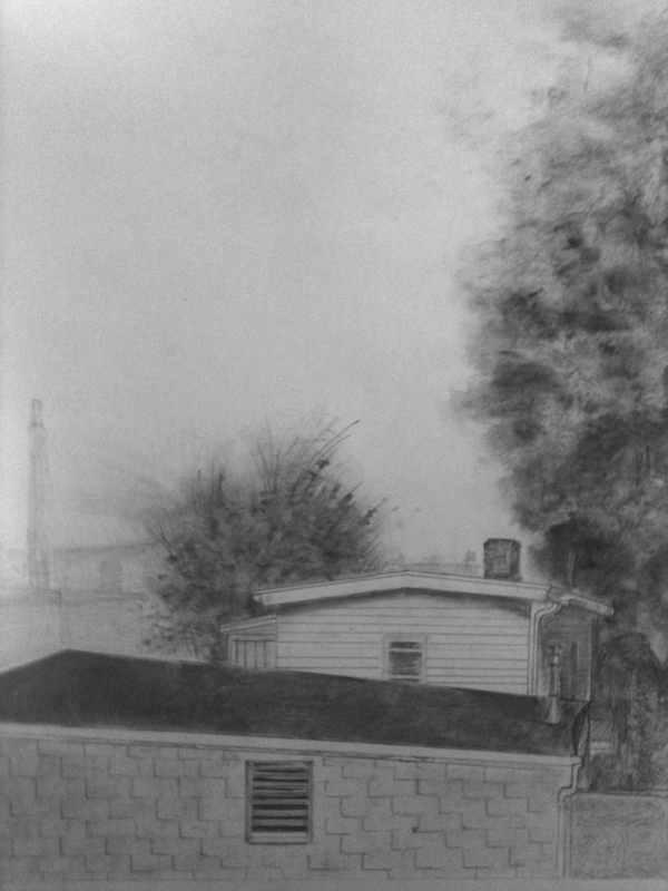 backyard.jpg