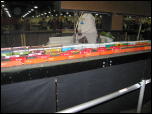 Click on one of the size names above to enlarge this image Click on one of the size names above to enlarge this image